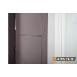 Входные двери Ufo комплектация COTAGE