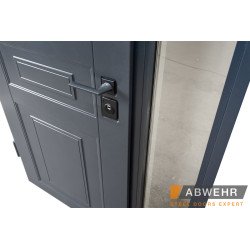Входная дверь FRAME 2 ТЕРМОРОЗРИВ