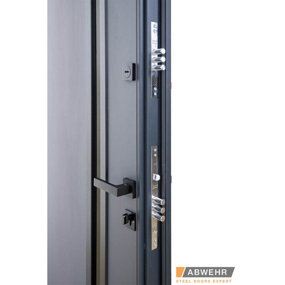 Входные двери модель Nordi Glass комплектация Defender 1200